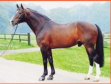 Grandsire