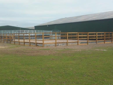 Turnout Pen