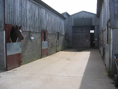 Stables